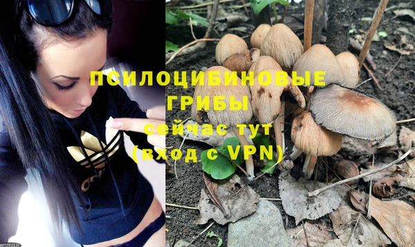 дурь Россошь
