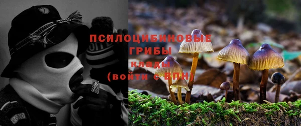 ALPHA-PVP Белокуриха